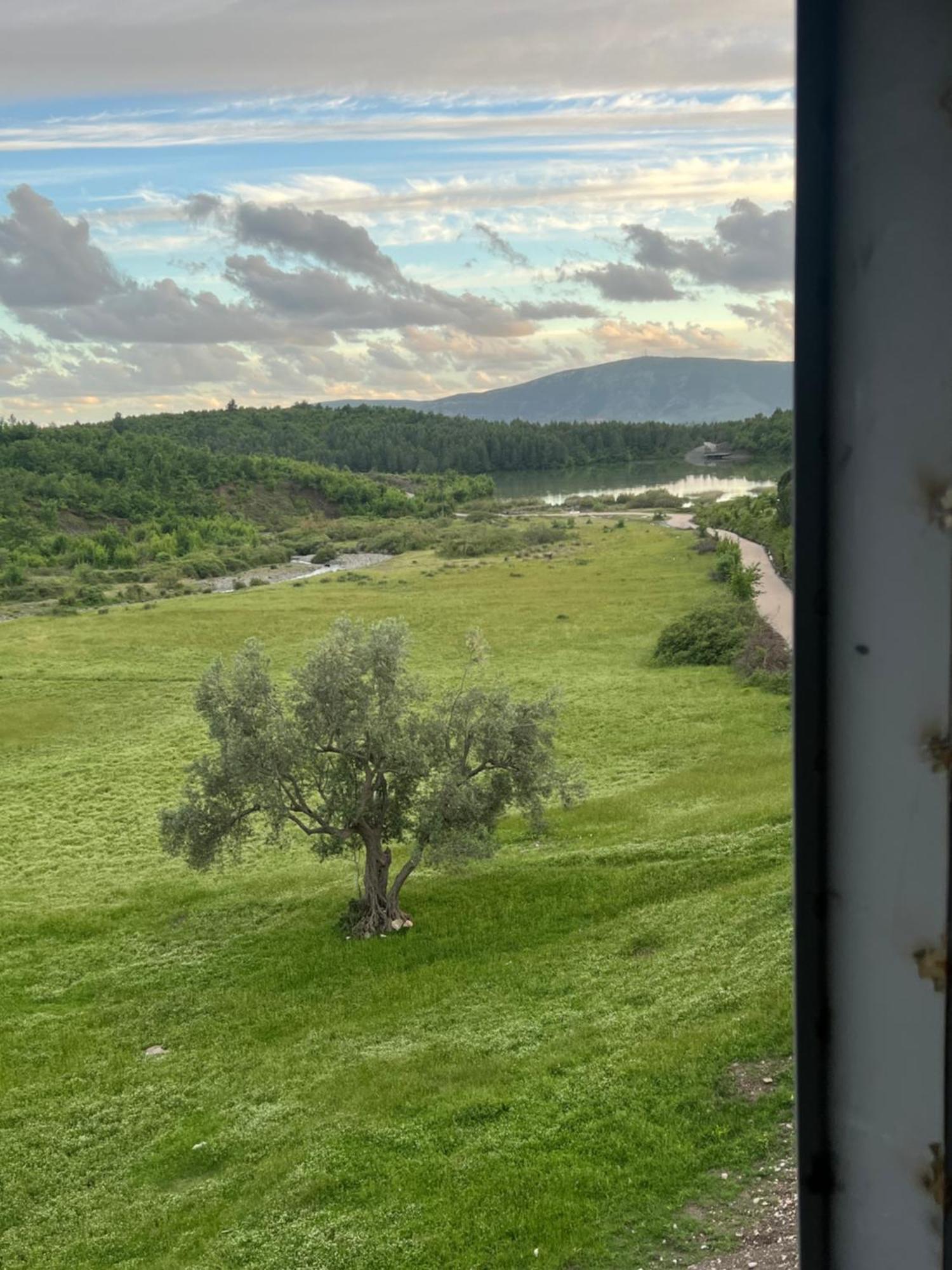 Guesthouse Koleci - Mrizi I Zanave Fishte Экстерьер фото