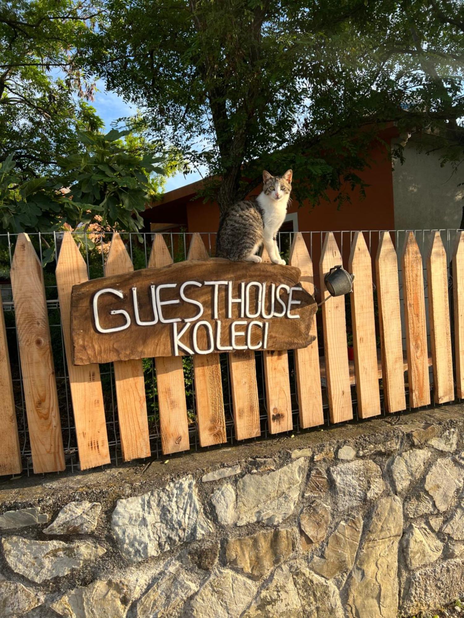Guesthouse Koleci - Mrizi I Zanave Fishte Экстерьер фото